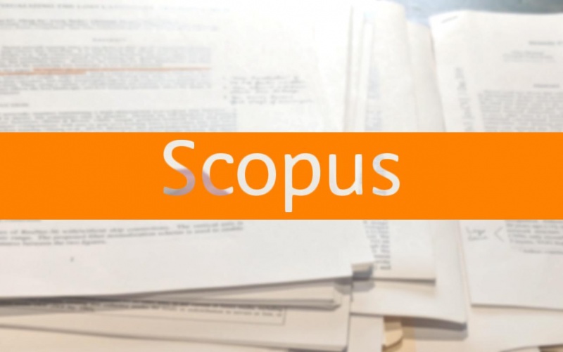 Международный журнал Scopus опубликовал научную статью наших врачей