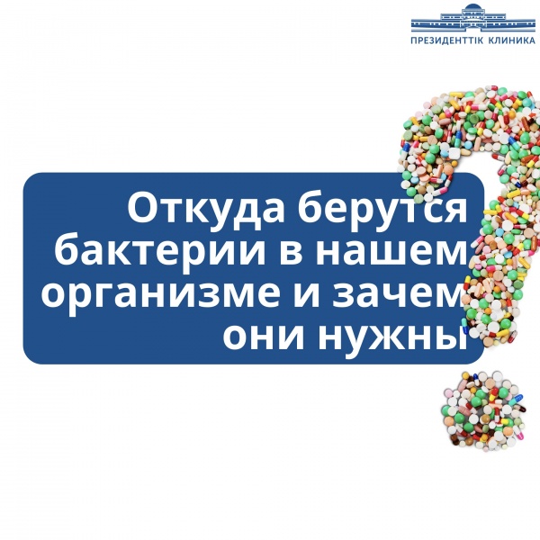 Откуда берутся бактерии в нашем организме и зачем они нужны