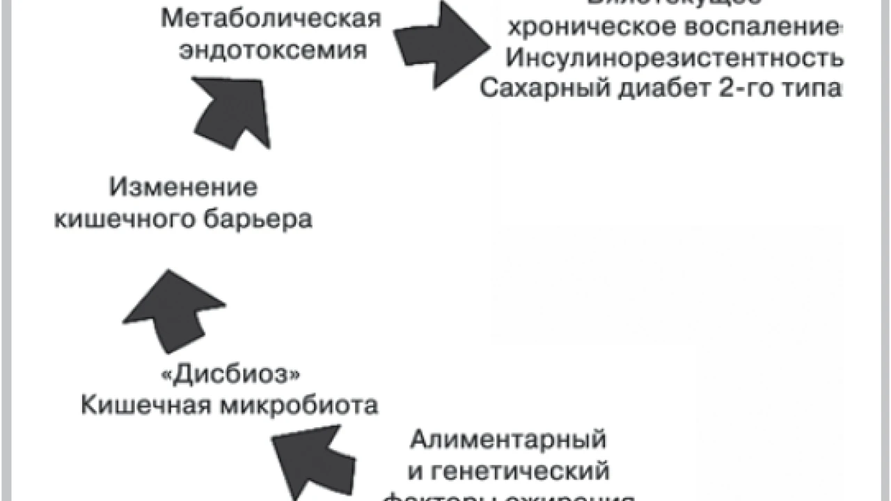 Қазақ популяциясының инсулинге төзімділігі бар ішек микробиотасының түрлік құрылымын зерттеу 