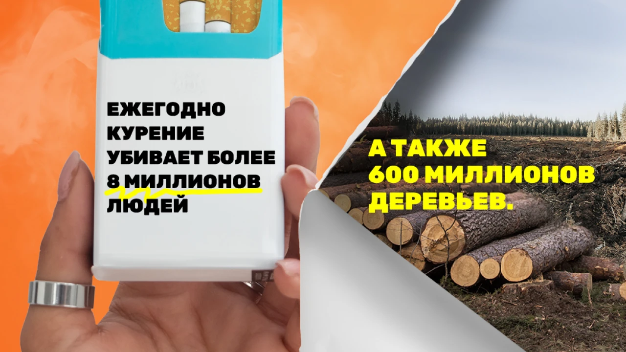 ДҮНИЕЖҮЗІЛІК ТЕМЕКІСІЗ КҮН: ЖАСТАР ІСКЕ КІРІСІП, #TobaccoExposed СӨЗІН АЛАДЫ !! 