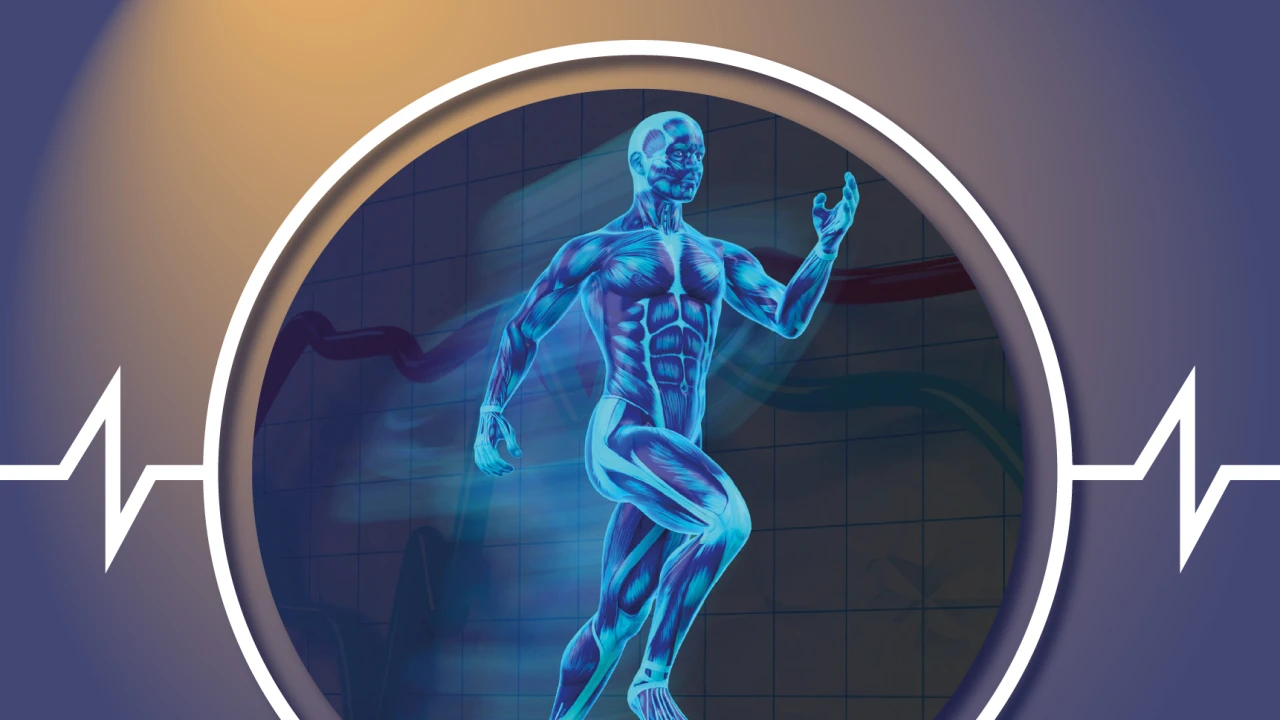 The Sports Medicine Center 